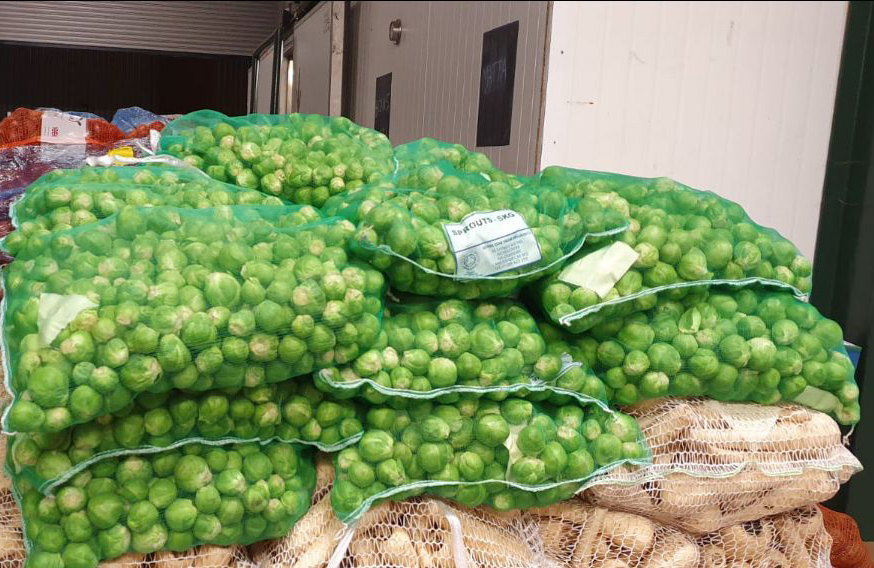 Brussels Sprouts for Christmas Organic Vegetables Box