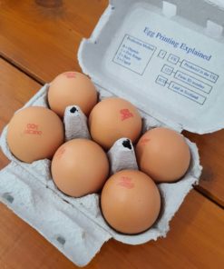 Some of our fresh organic eggs in halifax in their box at Just Gaia, Halifax in The Piece Hall