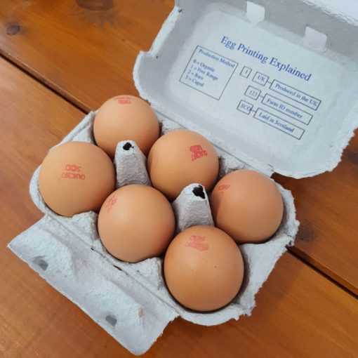Some of our fresh organic eggs in halifax in their box at Just Gaia, Halifax in The Piece Hall