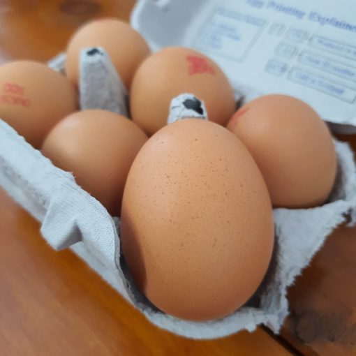 Some of our fresh organic eggs in halifax close up of one of the eggs in Just Gaia, Halifax in The Piece Hall