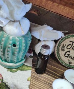Cactus Essential Oil burner gift set at Just Gaia on display in Halifax, UK