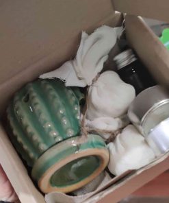 Cactus Essential Oil burner gift set at Just Gaia in the box at Halifax, UK