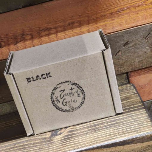 Cactus Essential Oil burner gift set at Just Gaia black Version in the box at Halifax, UK