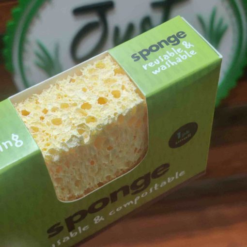 compostable sponge