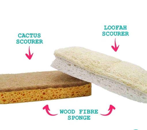 Eco Vibe sponge and scourer