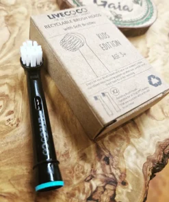 recyclable toothbrush heads