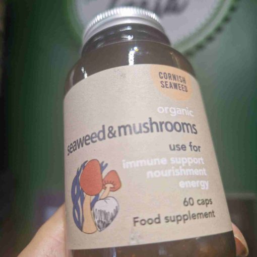 lion's mane mushroom supplement 